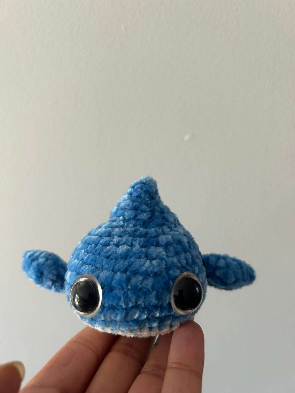 Tiburón azul pequeño